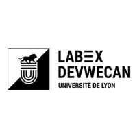logo labex devwecan