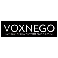 logo voxnego